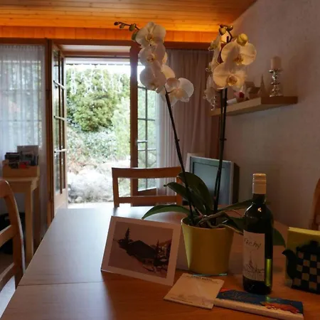 Halten Appartement-fewo- Dusche Oder Bad- Wc 4-bettwohnung By Interhome Zweisimmen